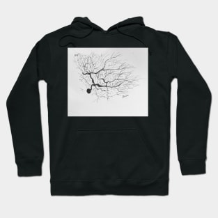 Pen and Ink Neuron Drawing Hoodie